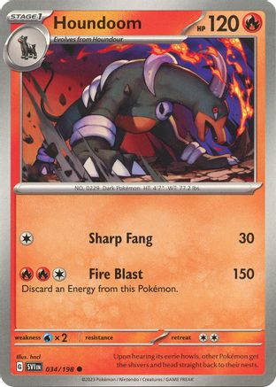 Houndoom 034/198  - Common