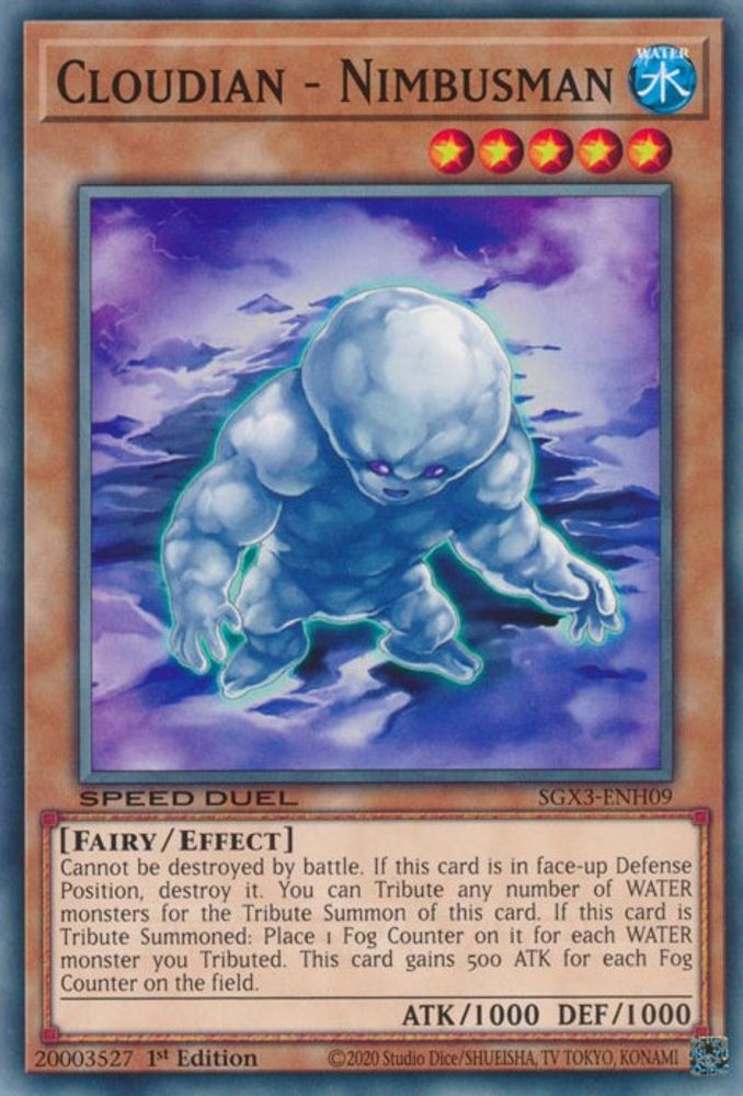 Cloudian - Nimbusman (SGX3-ENH09) - Common