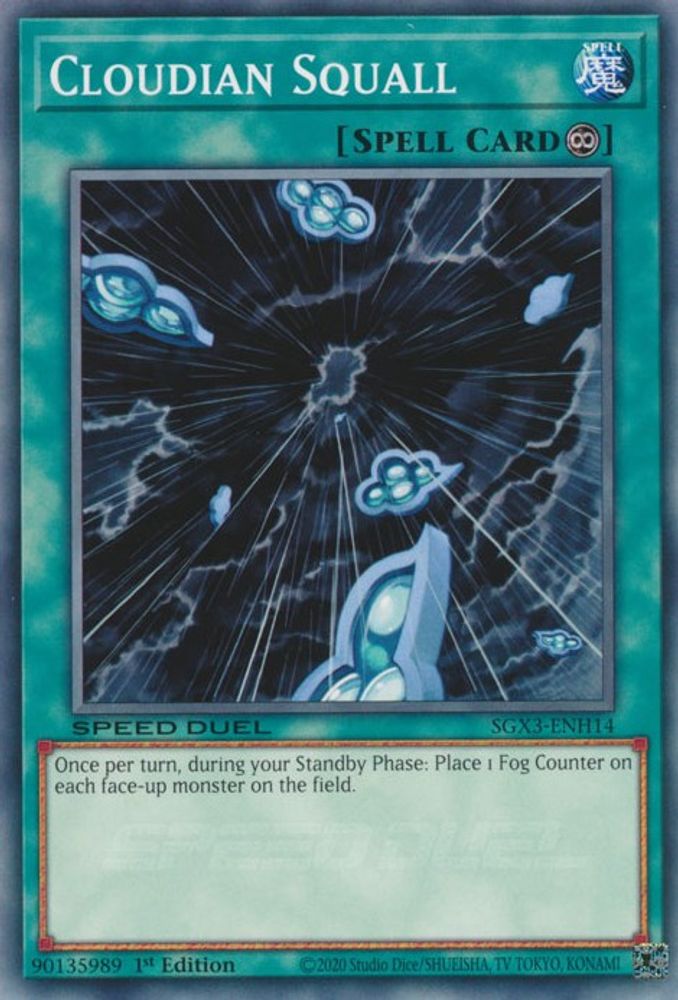 Cloudian Squall (SGX3-ENH14) - Common