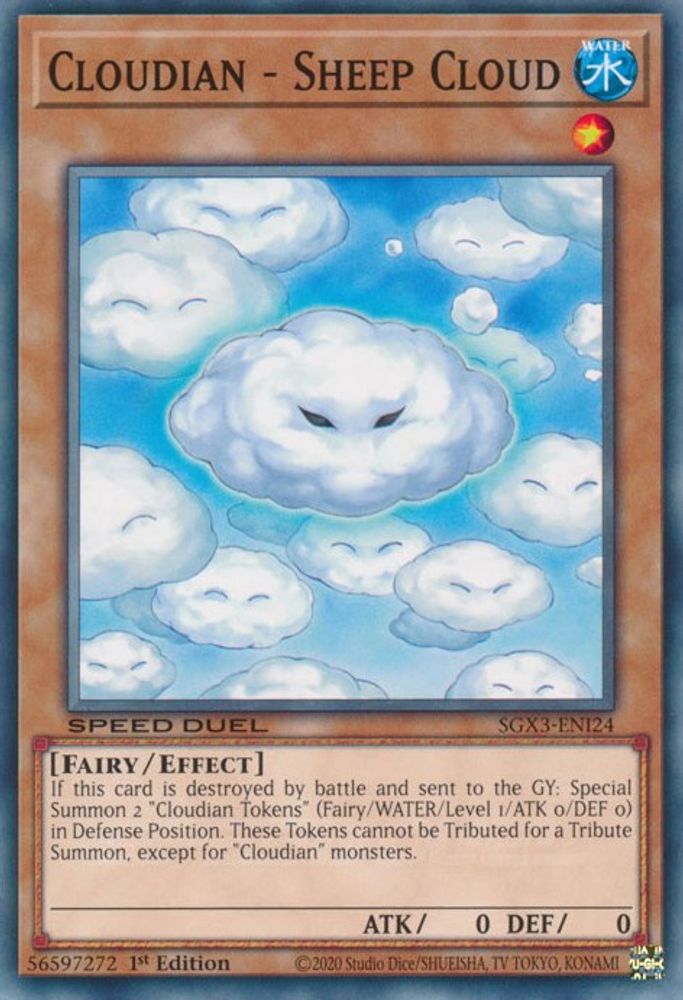 Cloudian - Sheep Cloud (SGX3-ENI24) - Common