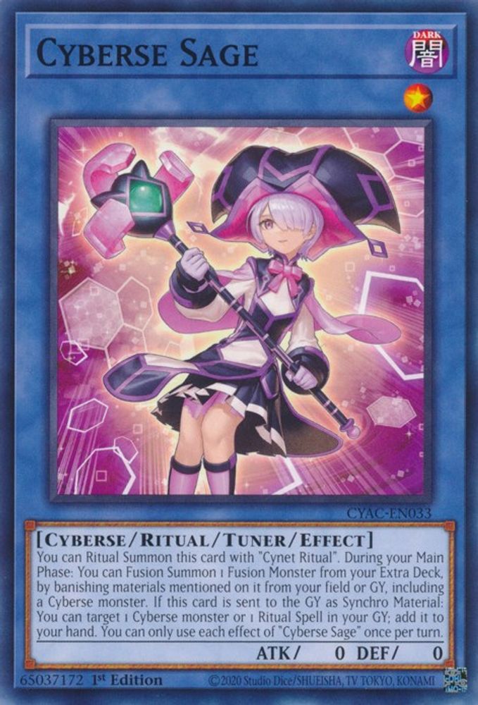 Cyberse Sage (CYAC-EN033) - Common