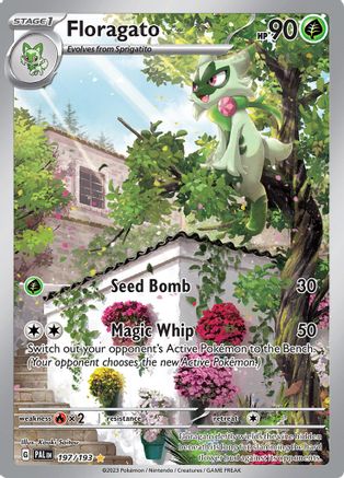 Floragato 197/193  - Holofoil - Illustration Rare