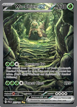 Wo 257/193  - Holofoil - Special Illustration Rare