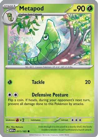 Metapod 011  - Common