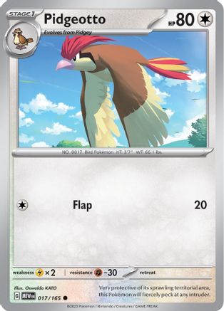 Pidgeotto 017  - Common