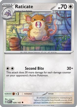 Raticate 020  - Uncommon
