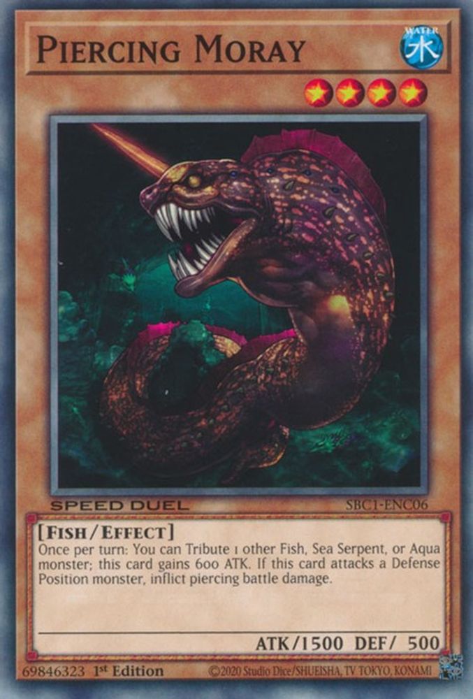 Piercing Moray (SBC1-ENC06) - Common