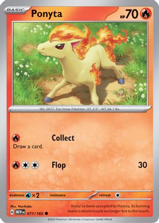Ponyta 077  - Common