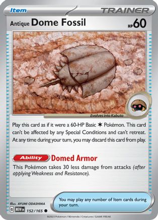 Antique Dome Fossil 152  - Common