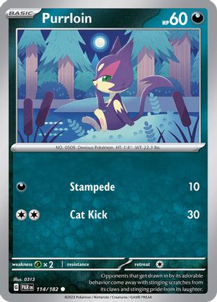 Purrloin 114  - Common