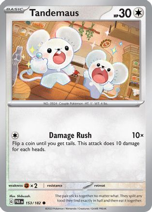 Tandemaus 153/182  - Common