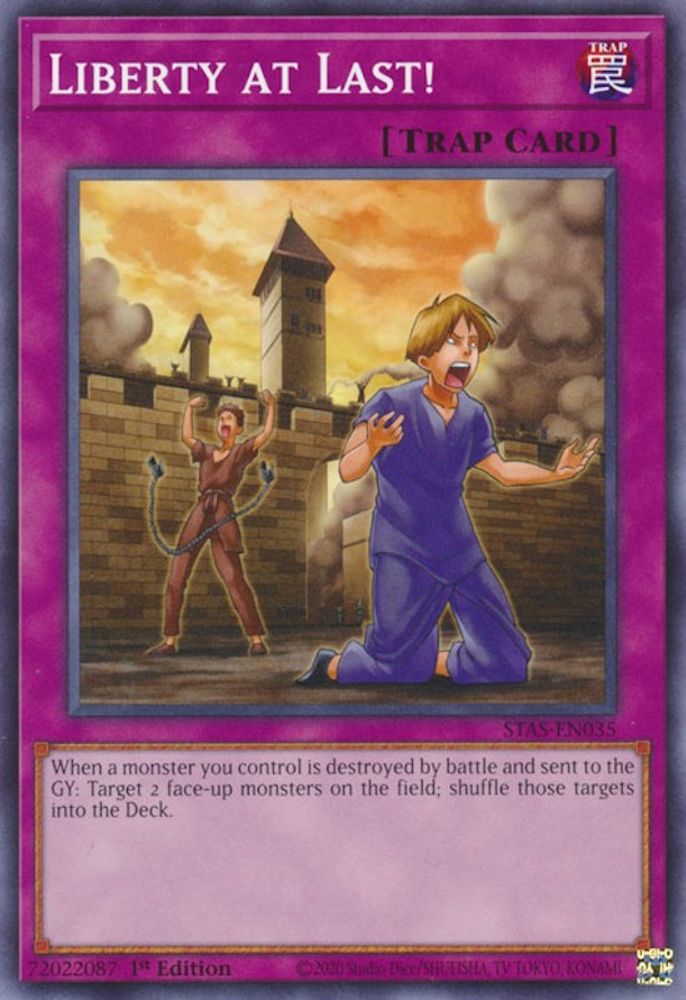 Liberty at Last! (STAS-EN035) - Common