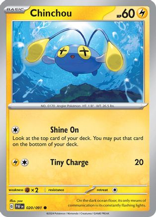Chinchou 020  - Common