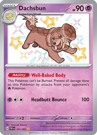 Dachsbun 161/091  - Holofoil - Shiny Rare