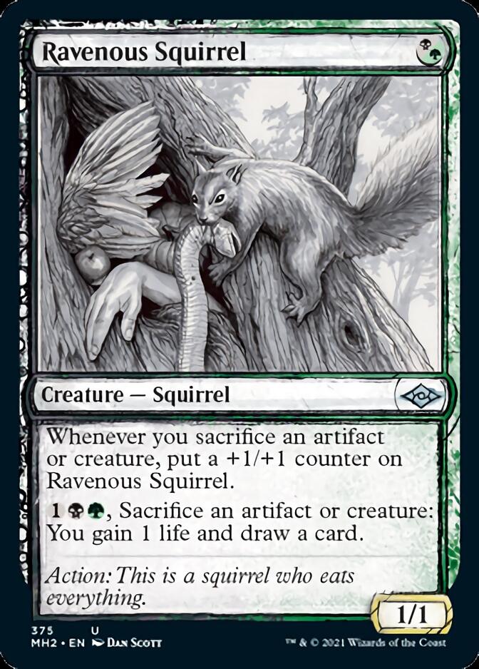 Ravenous Squirrel (Showcase) (MH2-375) - Modern Horizons 2: (Showcase)