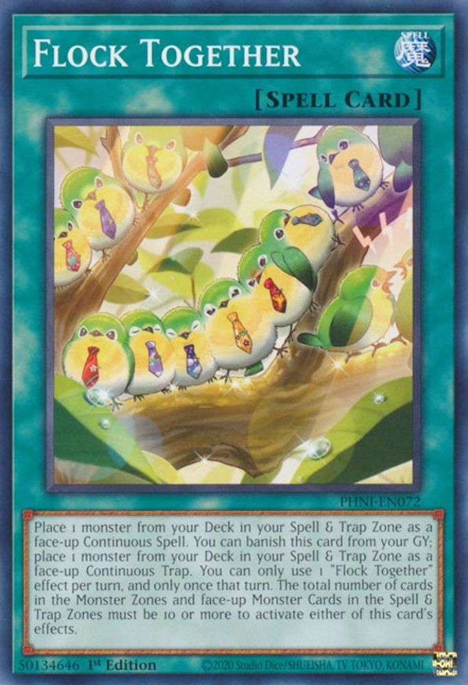 Flock Together (PHNI-EN072) - Common