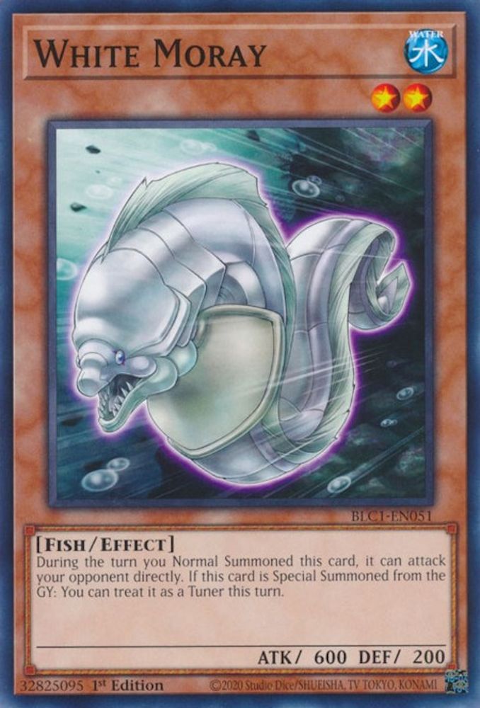 White Moray (BLC1-EN051) - Common