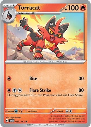Torracat 033  - Common