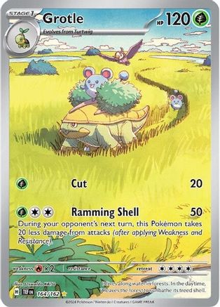 Grotle 164/162  - Holofoil - Illustration Rare