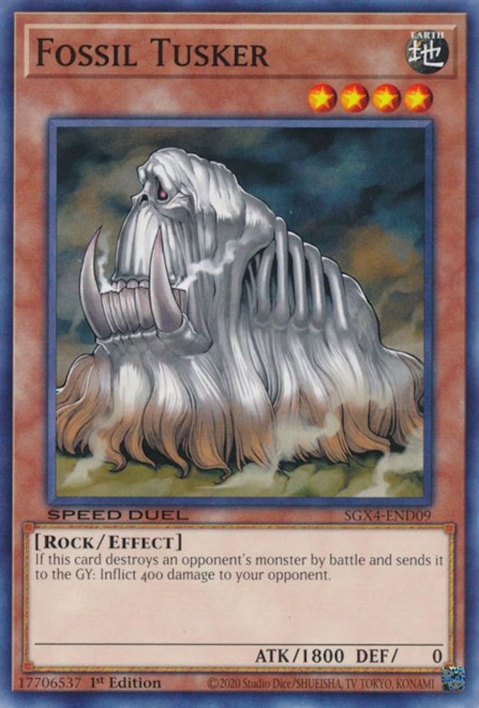 Tusker fossile [SGX4-END09] Commun 