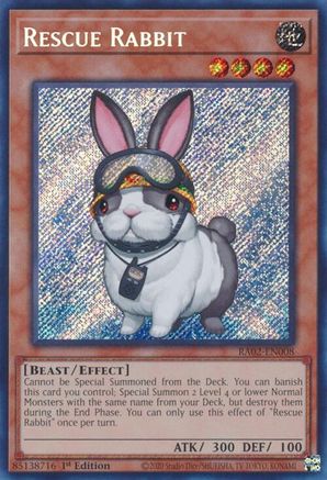 Lapin de sauvetage (Secret Rare) [RA02-EN008] Secret Rare 