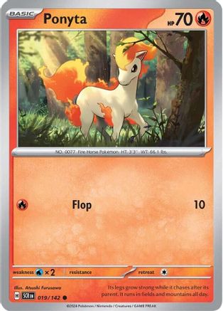 Ponyta 019  - Common