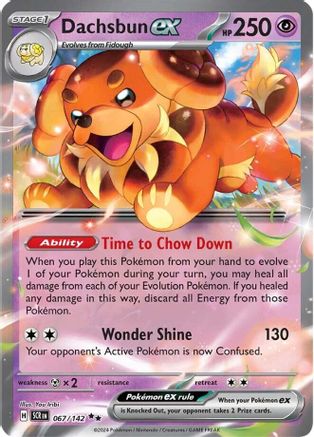 Dachsbun ex 067/142  - Holofoil - Double Rare