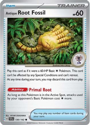 Antique Root Fossil 130  - Common