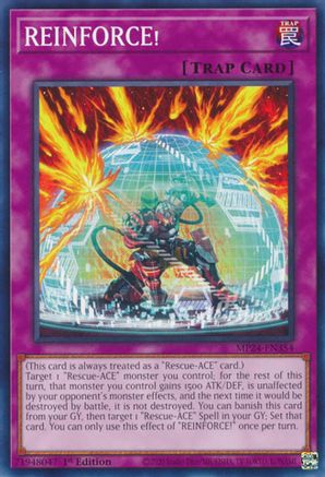 REINFORCE! (MP24-EN354) - Common