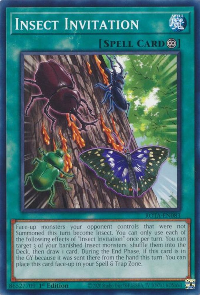 Insect Invitation (ROTA-EN083) - Common