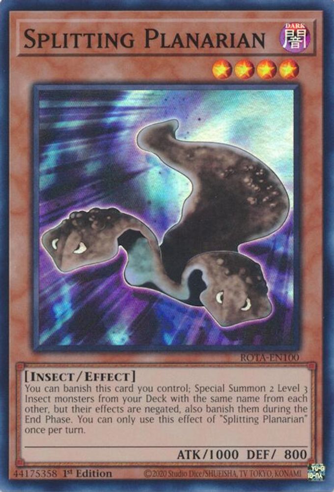 Splitting Planarian (ROTA-EN100) - Super Rare