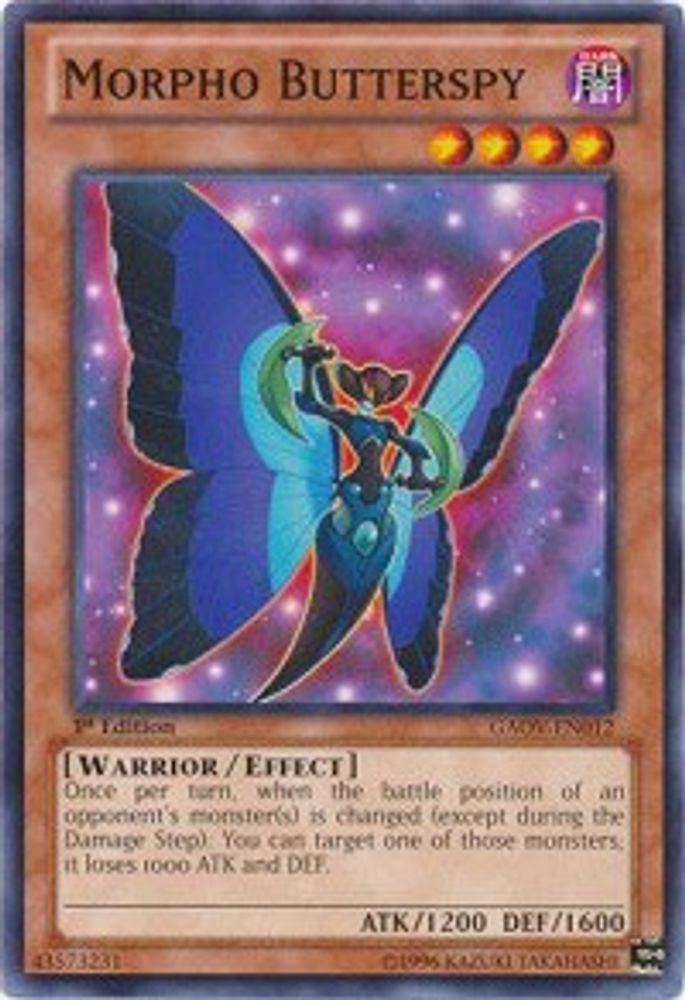 Morpho Butterspy (GAOV-EN012) - Common