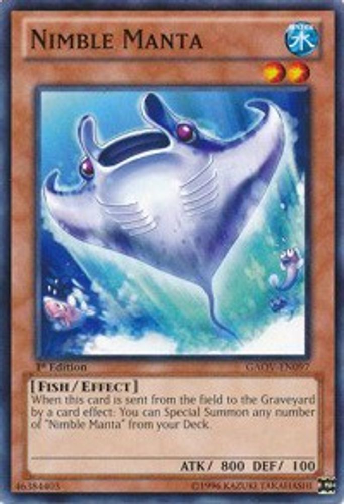 Manta agile [GAOV-EN097] Commun 
