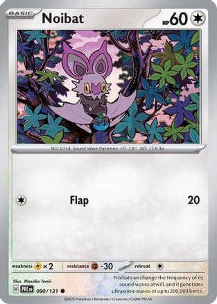 Noibat 090  - Common