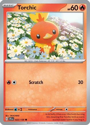 Torchic 022  - Common