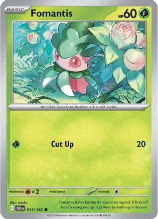 Fomantis 013  - Common