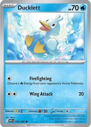 Ducklett 025  - Common