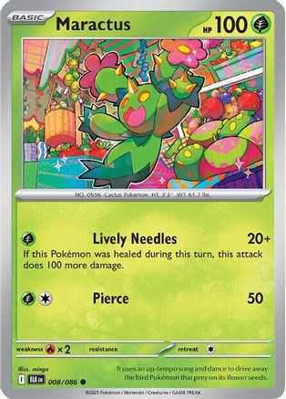 Maractus 008  - Common