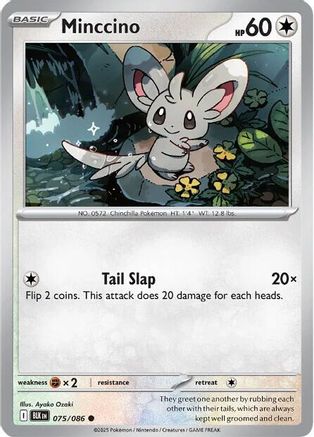 Minccino 075  - Common