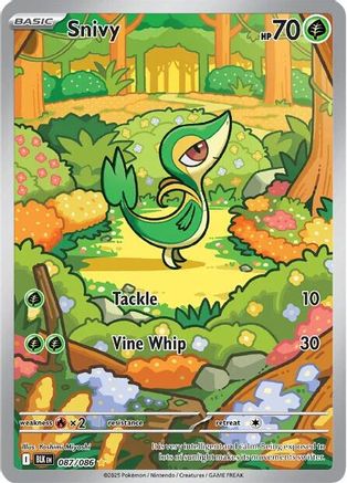 Snivy 087/086  - Holofoil - Illustration Rare