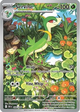 Servine 088/086  - Holofoil - Illustration Rare
