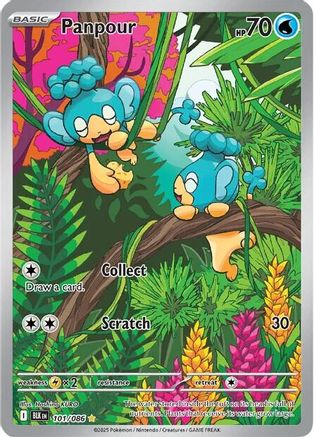 Panpour 101/086  - Holofoil - Illustration Rare