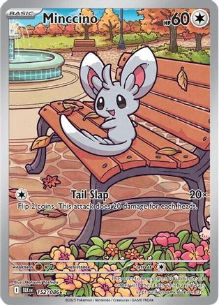 Minccino 152/086  - Holofoil - Illustration Rare