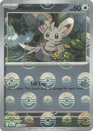 Cinccino (Poke Ball Pattern) 076  - Holofoil - Uncommon
