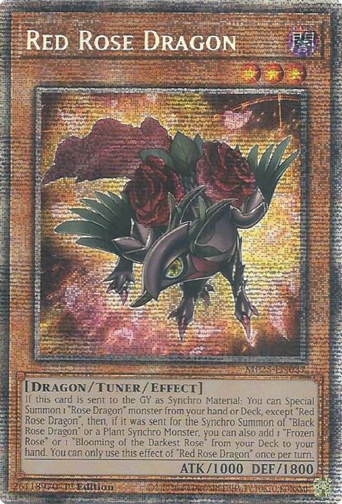 Red Rose Dragon (MP25-EN037) - Starlight Rare