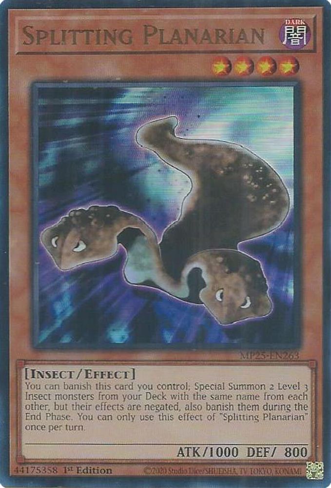 Splitting Planarian (MP25-EN263) - Ultra Rare