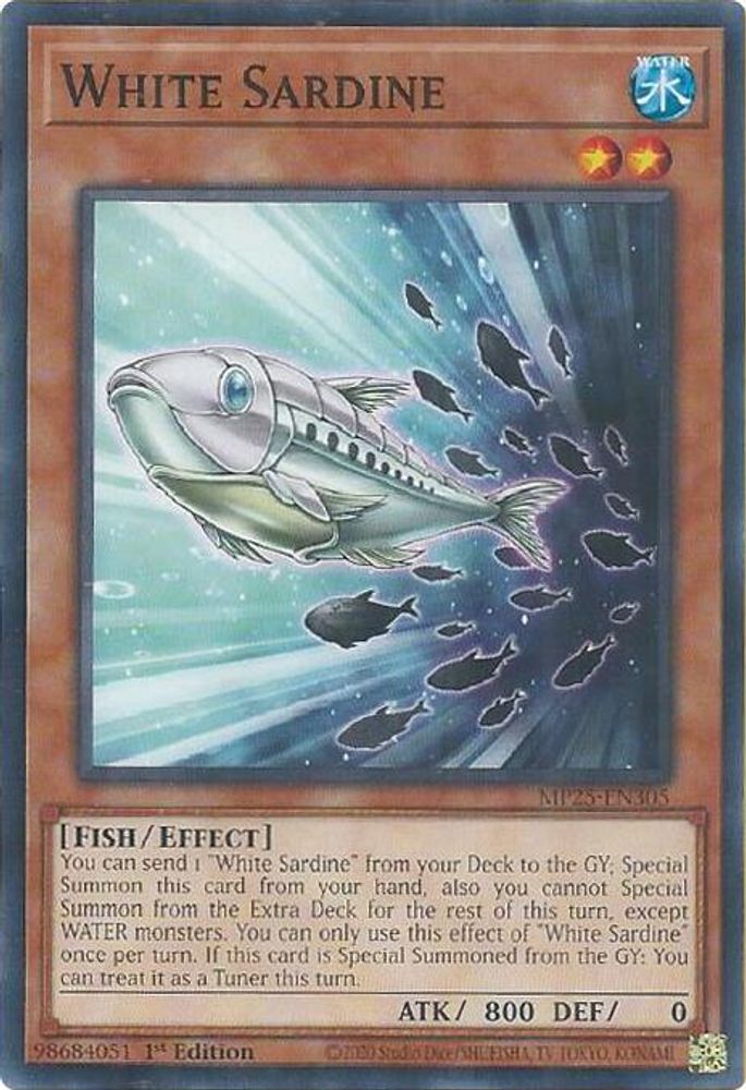White Sardine (MP25-EN305) - Common