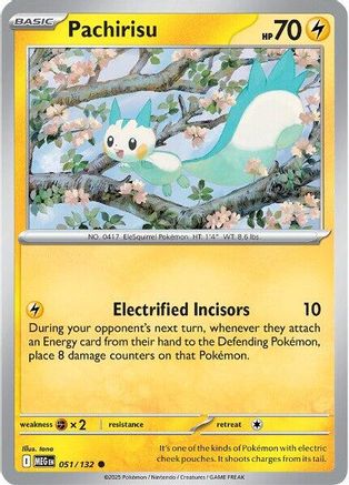 Pachirisu 051  - Common