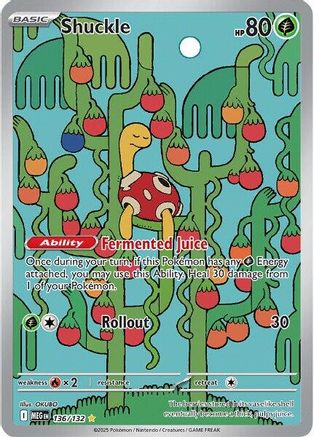 Shuckle 136/132  - Holofoil - Illustration Rare