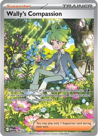 Wally's Compassion 186/132  - Holofoil - Special Illustration Rare